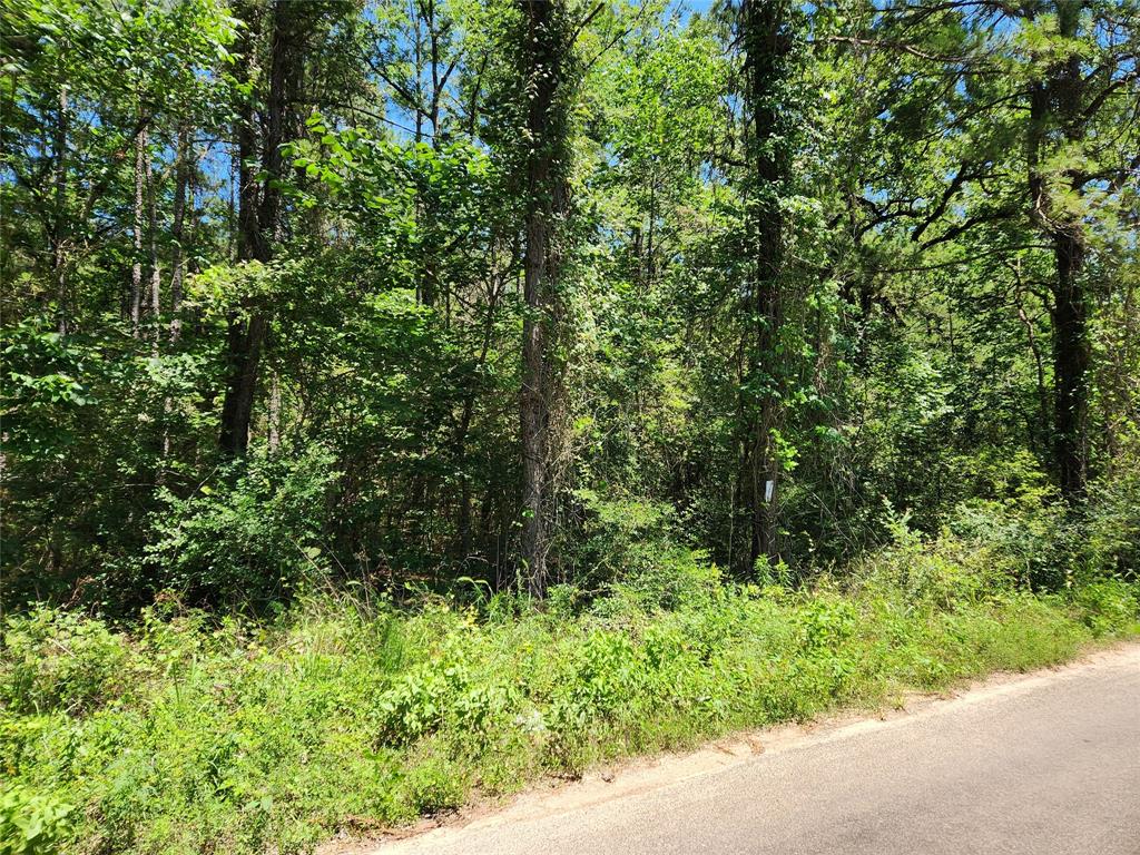 Lot 18 Mulberry Drive, Plantersville, Texas image 28