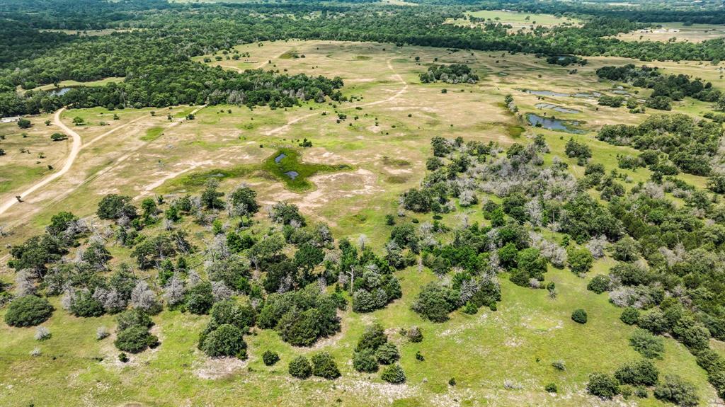 000 Fm 109, Columbus, Texas image 7