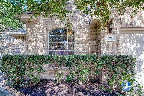Photo of 30 Hermit Thrush Place, The Woodlands, TX 77382 (MLS # 97755594)