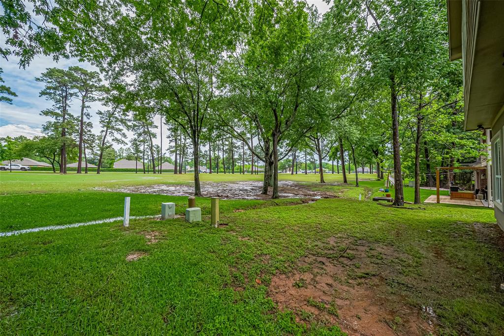 13318 Hilton Head Drive, Montgomery, Texas image 40