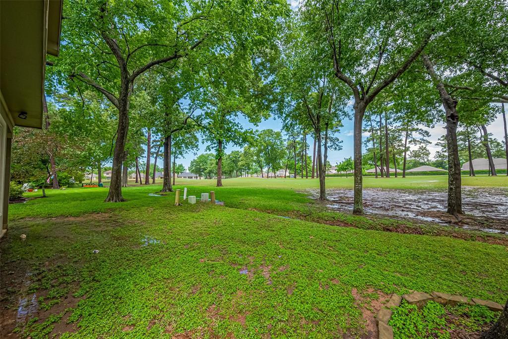 13318 Hilton Head Drive, Montgomery, Texas image 39