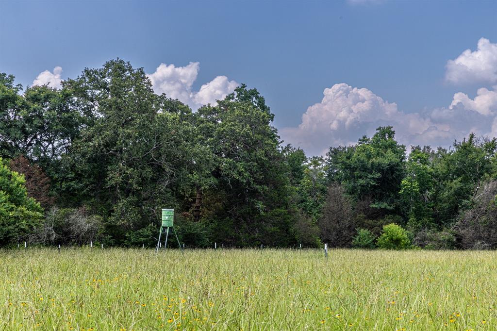 26701 Nelson Road, Hempstead, Texas image 24