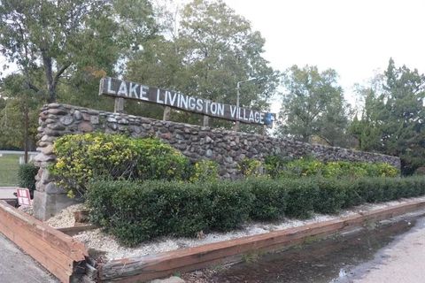 Photo of 301 Parkpine Dr, Livingston, TX 77351 (MLS # 67630309)