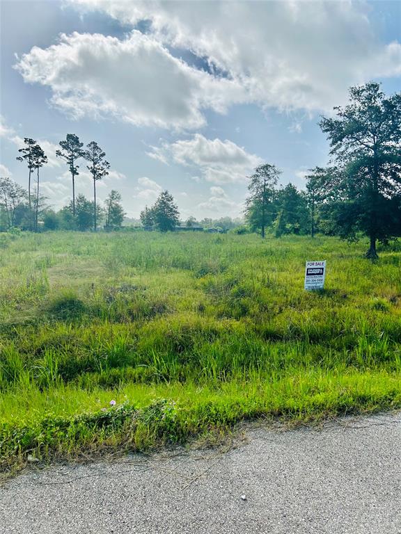 View Cleveland, TX 77327 land