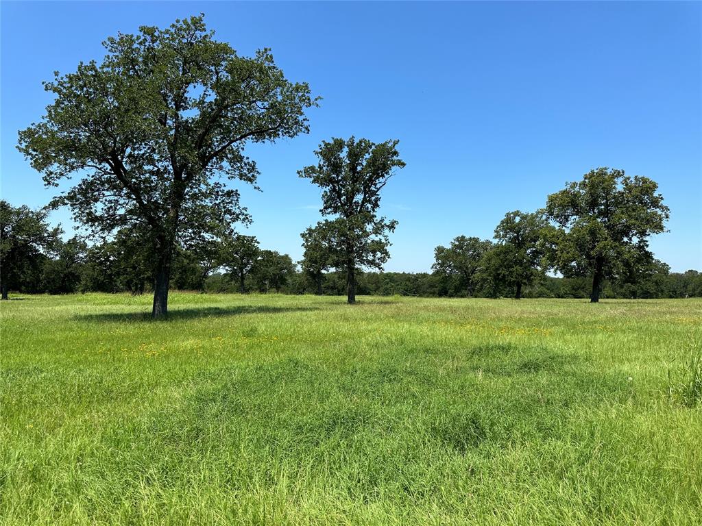 TBD Tract 2 Fm 2547, Fairfield, Texas image 14