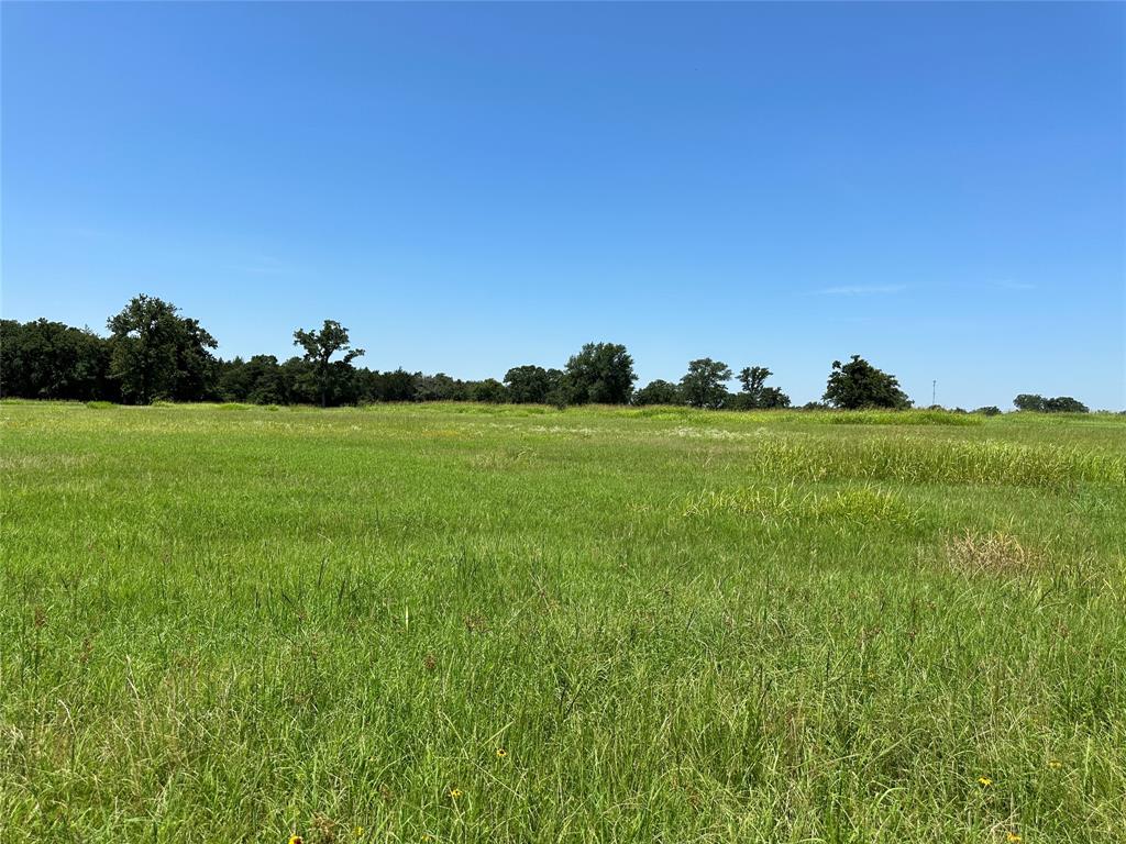 TBD Tract 2 Fm 2547, Fairfield, Texas image 11