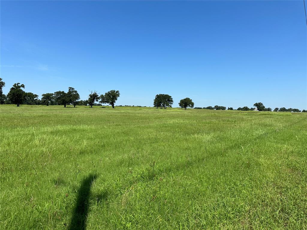 TBD Tract 2 Fm 2547, Fairfield, Texas image 15