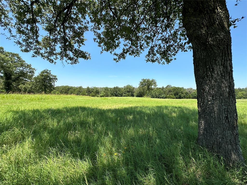 TBD Tract 2 Fm 2547, Fairfield, Texas image 7
