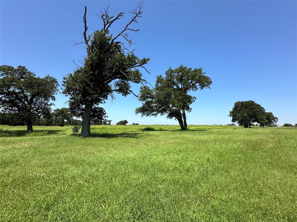 TBD Tract 2 Fm 2547, Fairfield, Texas image 8