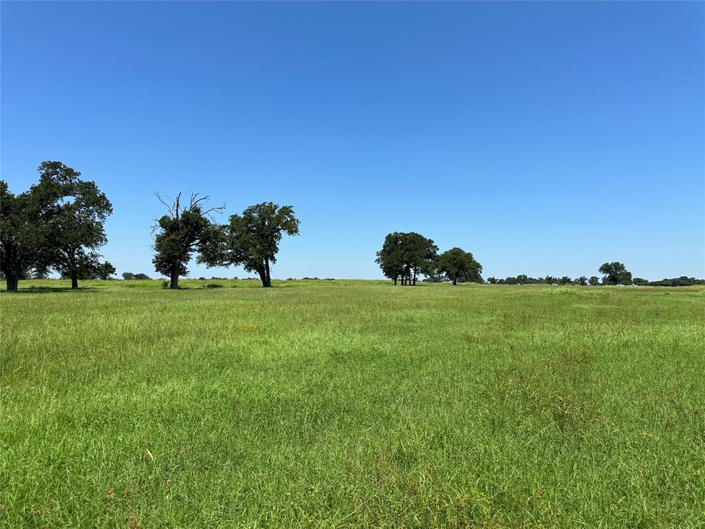 TBD Tract 2 Fm 2547, Fairfield, Texas image 6