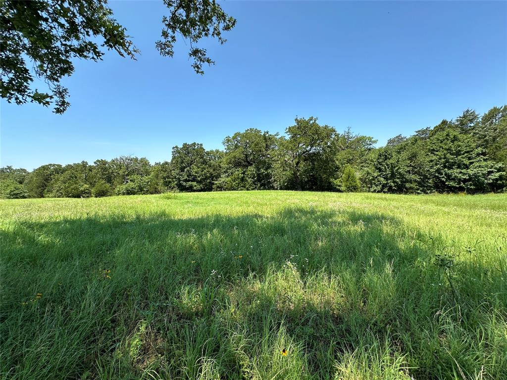 TBD Tract 2 Fm 2547, Fairfield, Texas image 5