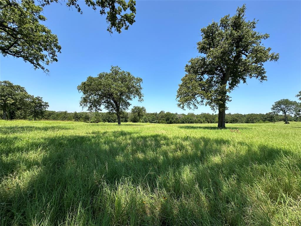 TBD Tract 2 Fm 2547, Fairfield, Texas image 1