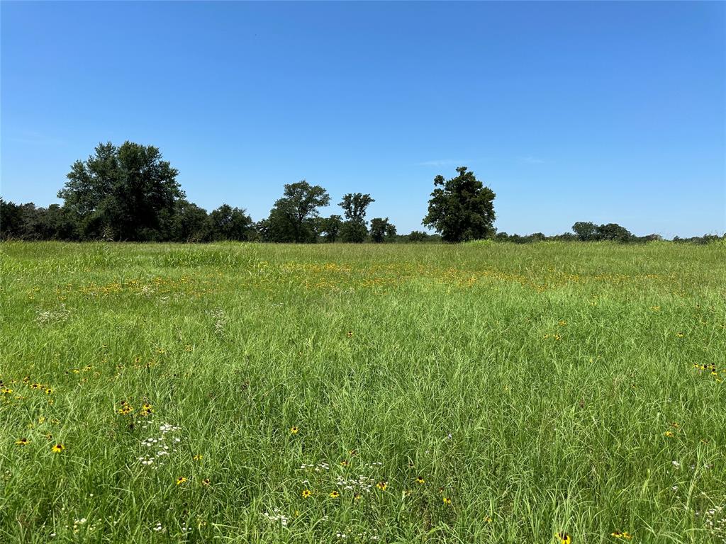 TBD Tract 2 Fm 2547, Fairfield, Texas image 13