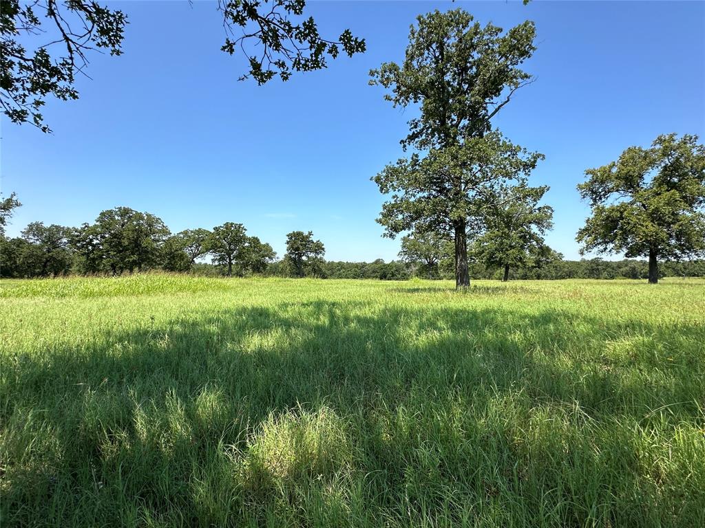 TBD Tract 2 Fm 2547, Fairfield, Texas image 10