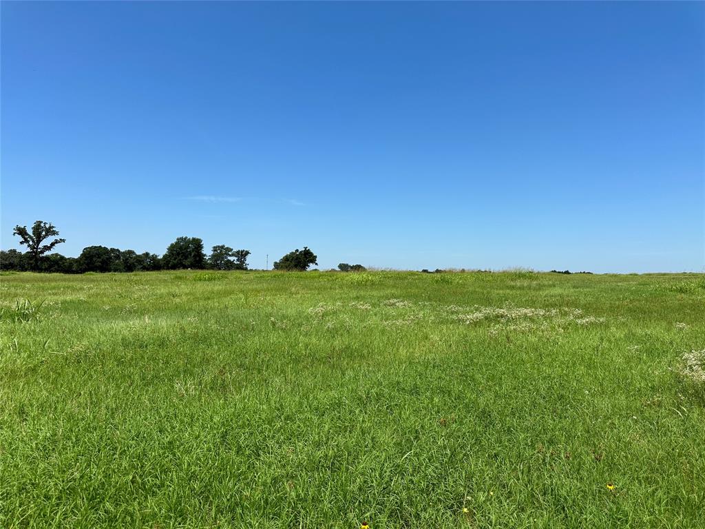 TBD Tract 2 Fm 2547, Fairfield, Texas image 9