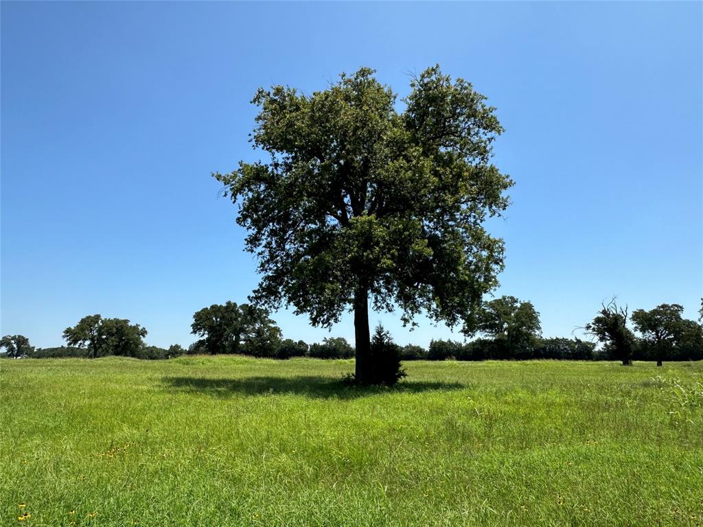 TBD Tract 2 Fm 2547, Fairfield, Texas image 4