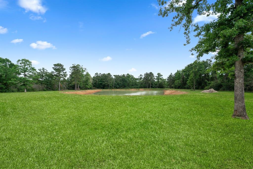 9204 County Line Road Rd, Willis, Texas image 17