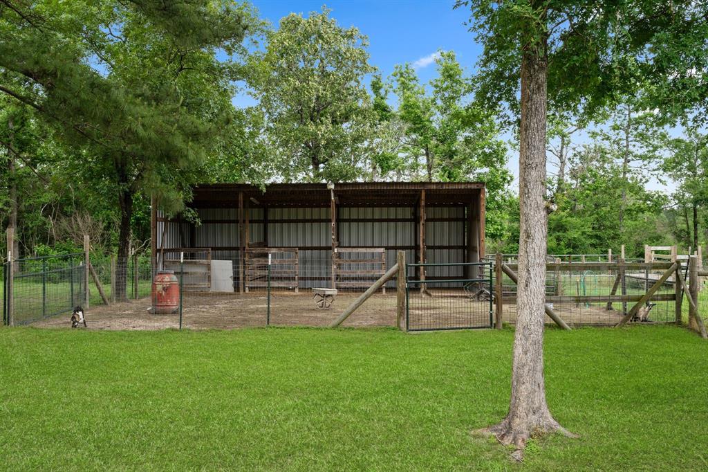 9204 County Line Road Rd, Willis, Texas image 5