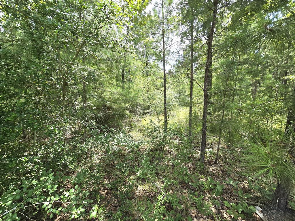 TBD Oakwood Drive