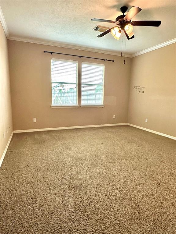 3207 Mossy Bend Lane, Pearland, Texas image 14