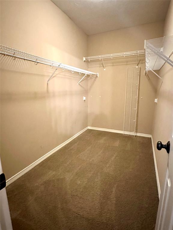 3207 Mossy Bend Lane, Pearland, Texas image 16