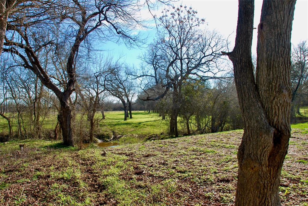 1000 Old Lytton Springs Road, Lockhart, Texas image 18