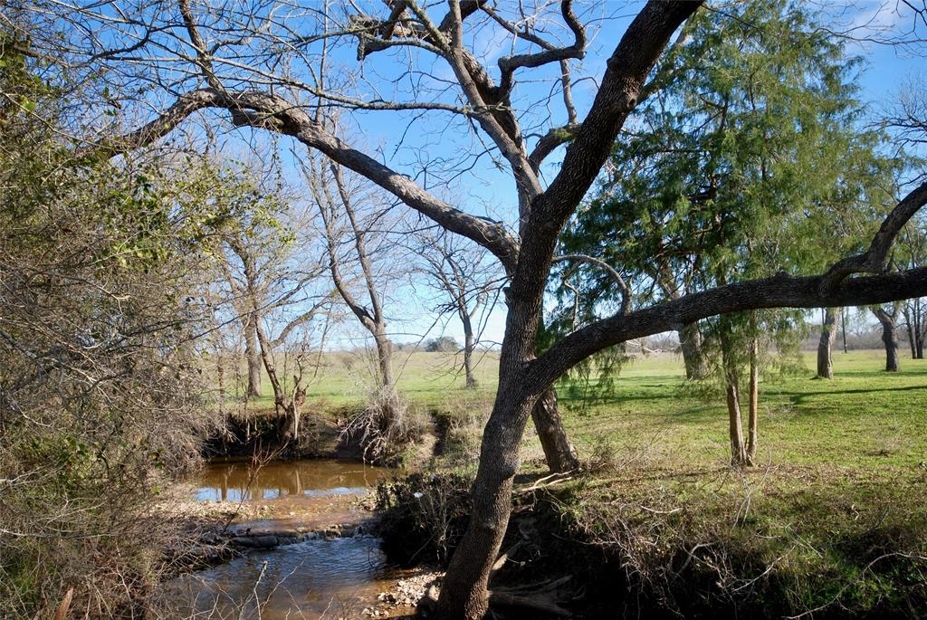 1000 Old Lytton Springs Road, Lockhart, Texas image 23