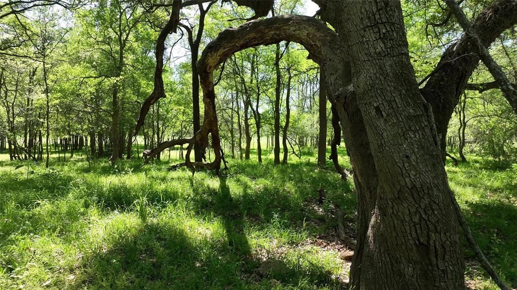 00 County Road 119, Ledbetter, Texas image 31