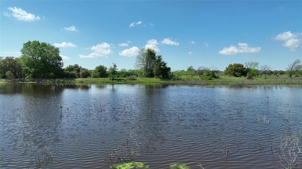 00 County Road 119, Ledbetter, Texas image 13