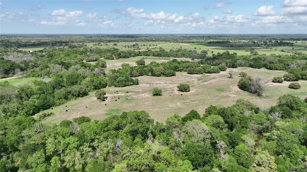 00 County Road 119, Ledbetter, Texas image 29