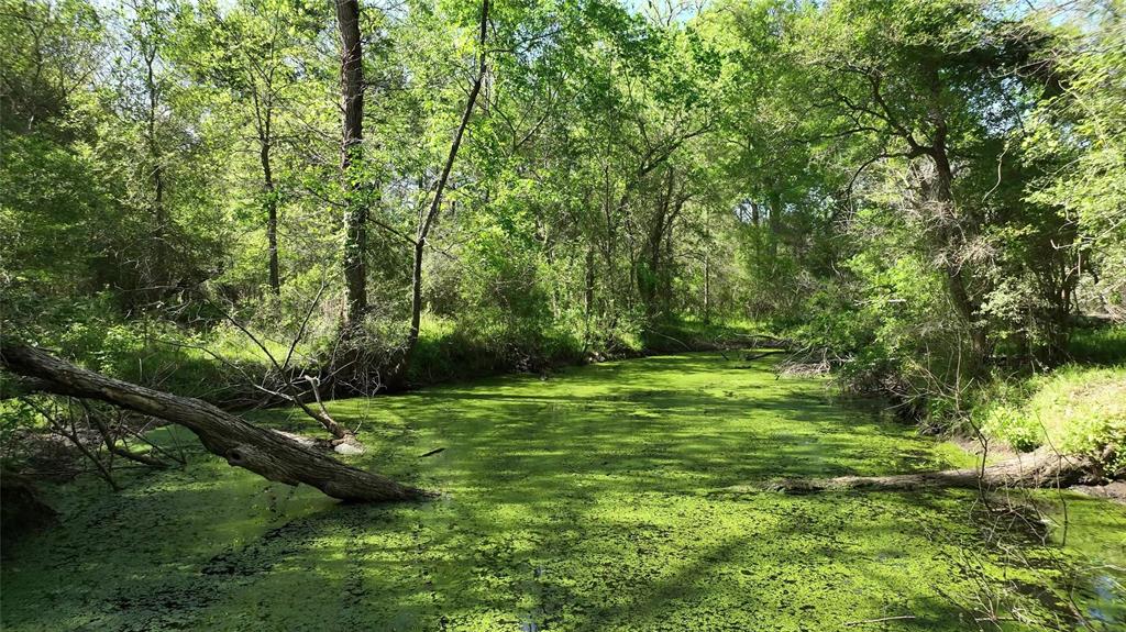 00 County Road 119, Ledbetter, Texas image 32