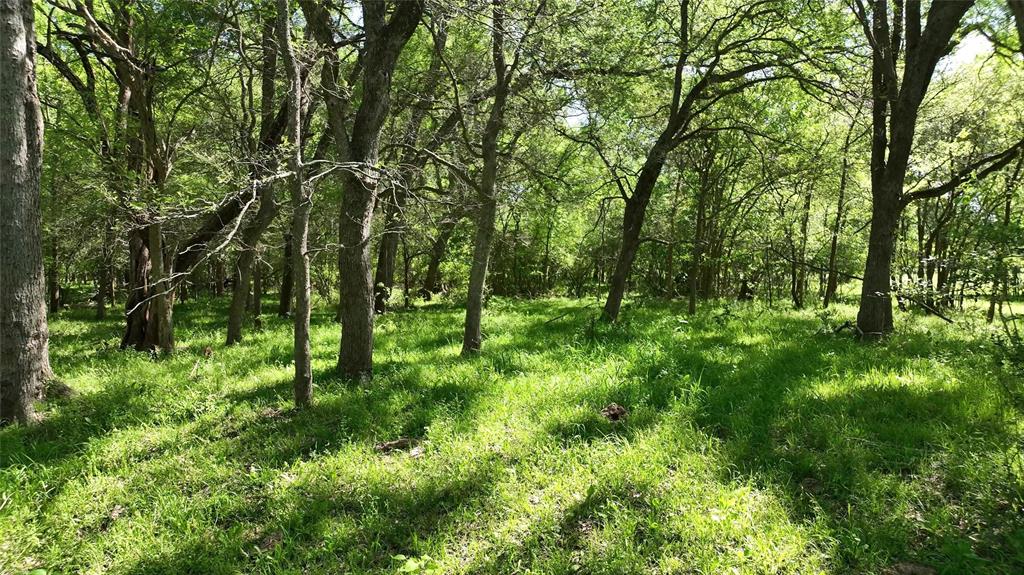 00 County Road 119, Ledbetter, Texas image 34