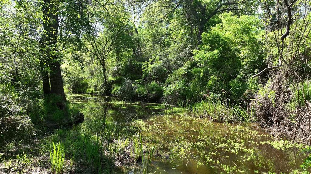 00 County Road 119, Ledbetter, Texas image 35