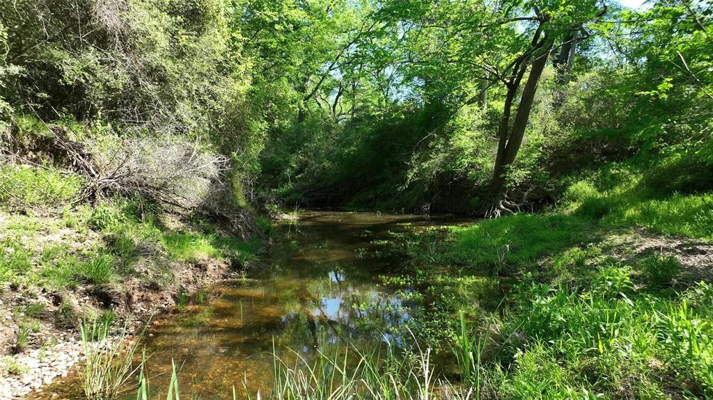 00 County Road 119, Ledbetter, Texas image 1