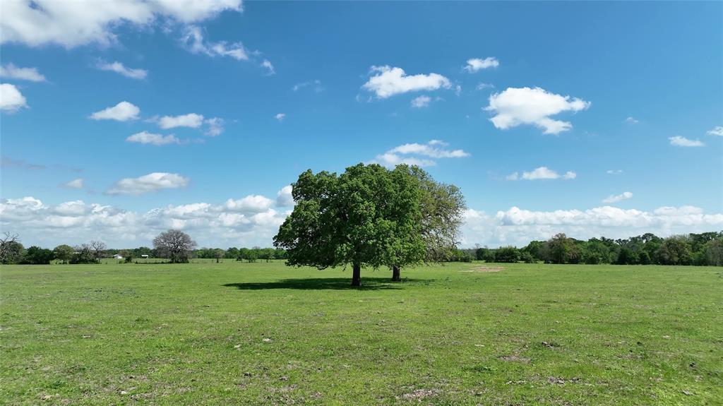 00 County Road 119, Ledbetter, Texas image 19