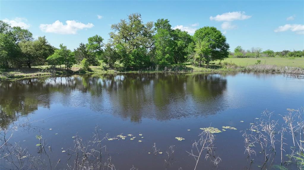 00 County Road 119, Ledbetter, Texas image 15