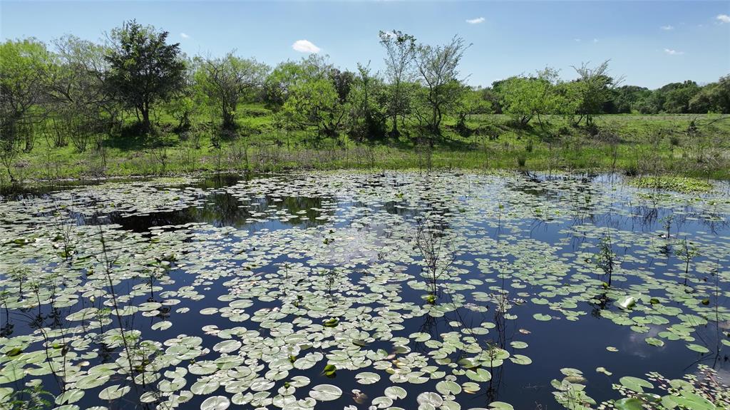 00 County Road 119, Ledbetter, Texas image 22