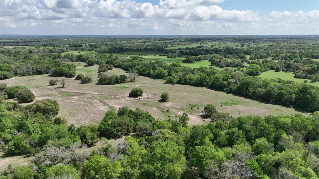 00 County Road 119, Ledbetter, Texas image 25