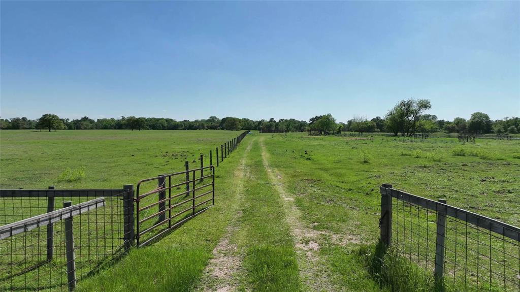 00 County Road 119, Ledbetter, Texas image 11