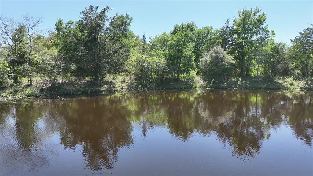 00 County Road 119, Ledbetter, Texas image 16