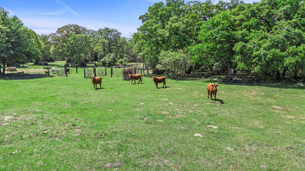 889 County Road 238, Cameron, Texas image 23