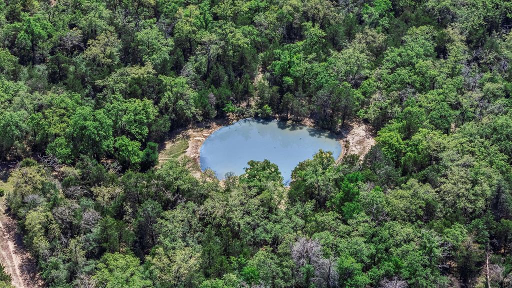 889 County Road 238, Cameron, Texas image 13
