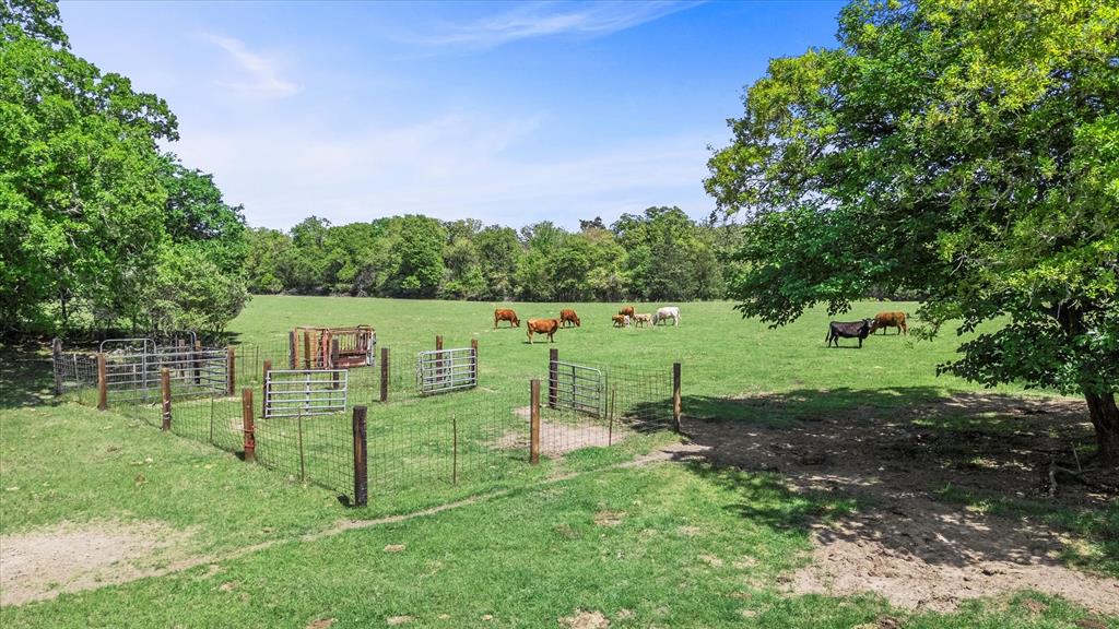 889 County Road 238, Cameron, Texas image 26