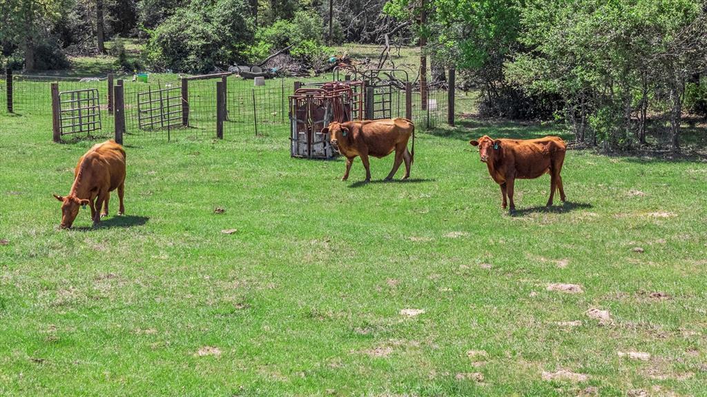 889 County Road 238, Cameron, Texas image 22