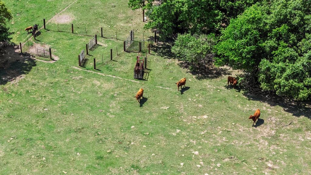 889 County Road 238, Cameron, Texas image 21