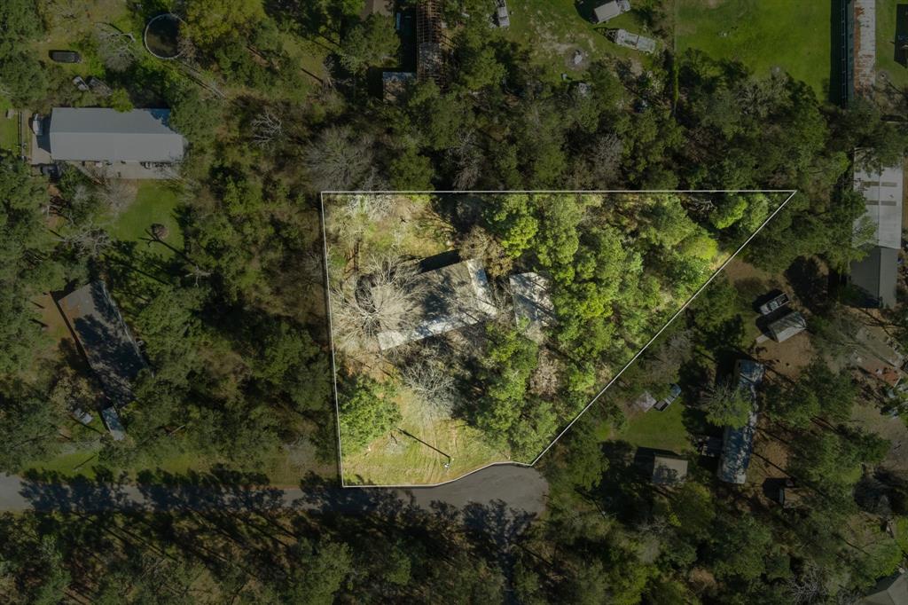 17310 Mcintosh Circle, Magnolia, Texas image 4