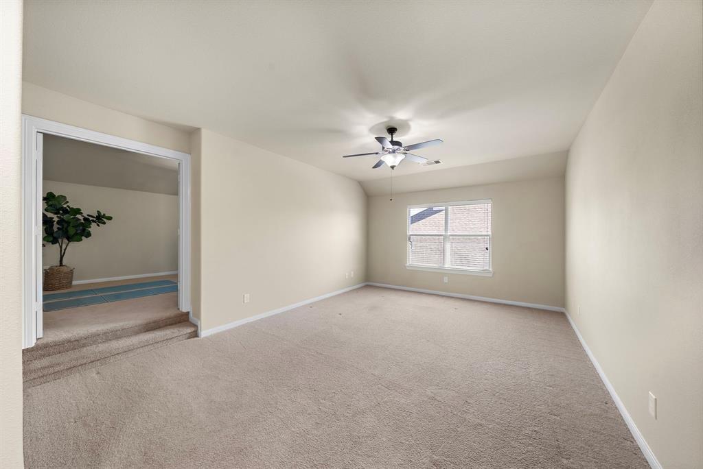 117 Lamar Canyon Lane, Friendswood, Texas image 16