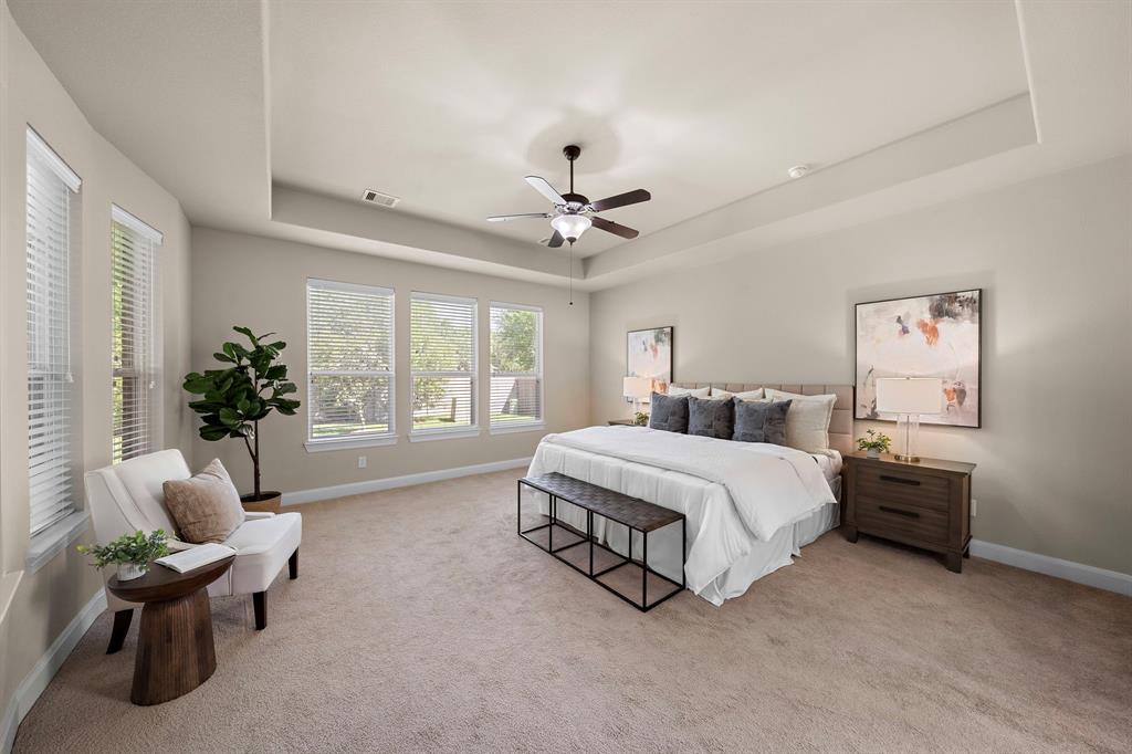 117 Lamar Canyon Lane, Friendswood, Texas image 13