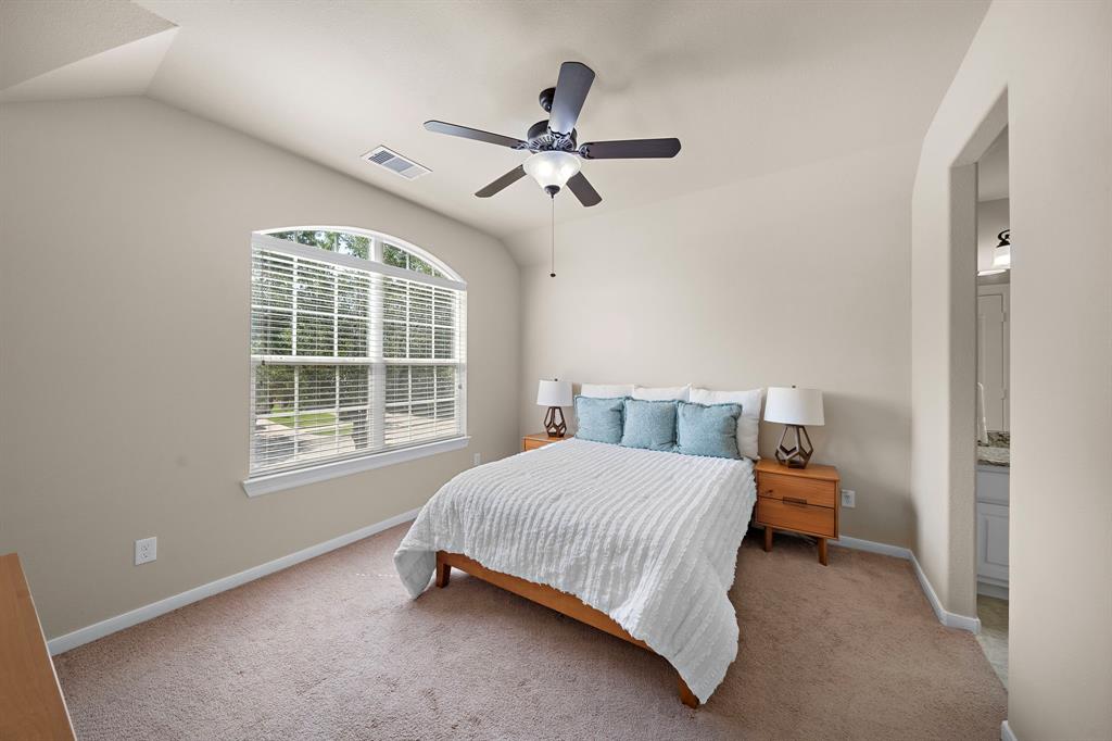 117 Lamar Canyon Lane, Friendswood, Texas image 21