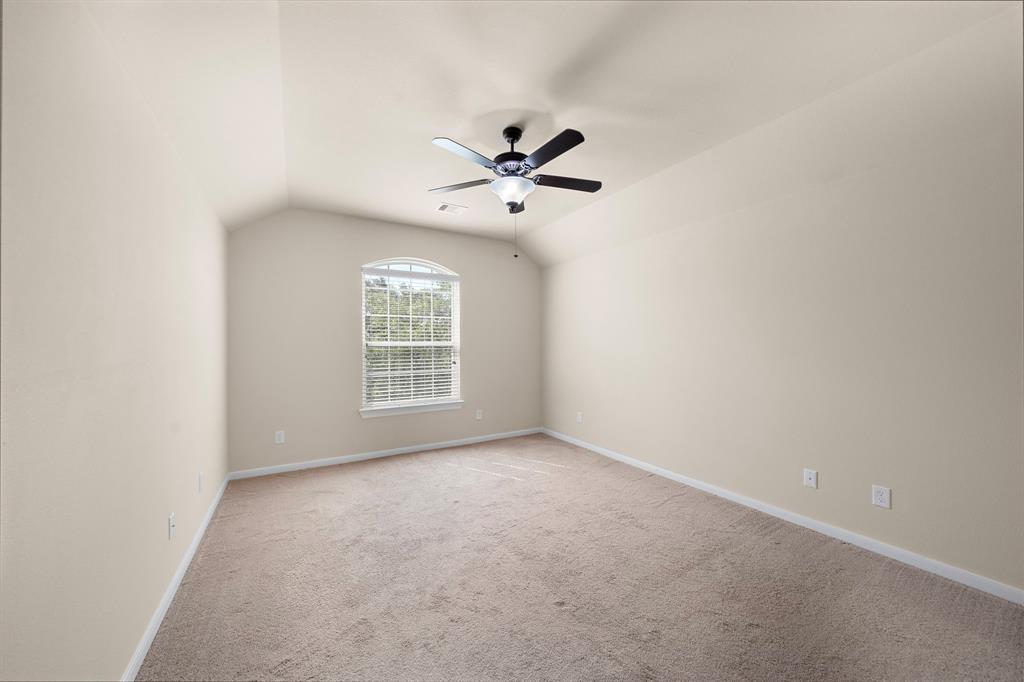 117 Lamar Canyon Lane, Friendswood, Texas image 20